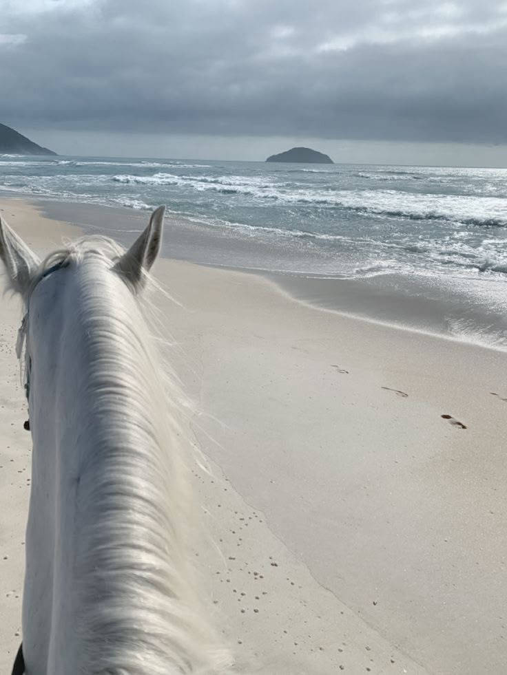 My Favorite Place to Go: Where My Heart Finds&nbsp;Rest