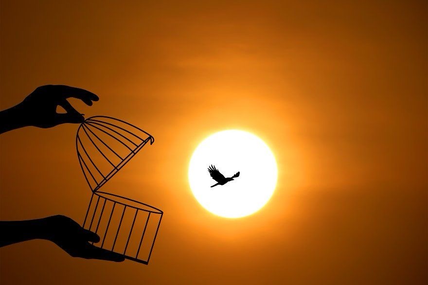 Stronger in Mercy: How Forgiveness Redefines&nbsp;Strength